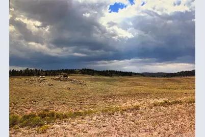 389 Chipita Trail, Hartsel, CO 80449 - Photo 2