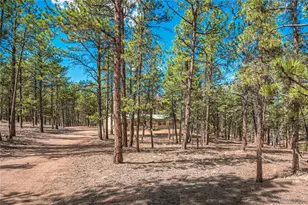 2675 Pikes Peak Dr, Florissant, CO 80816 - Photo 4