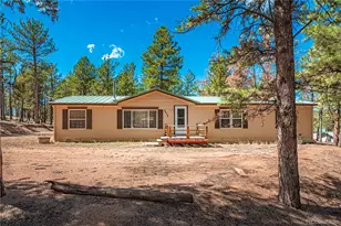 2675 Pikes Peak Dr, Florissant, CO 80816 - Photo 2