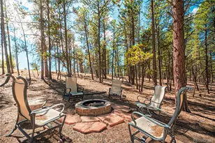 2675 Pikes Peak Dr, Florissant, CO 80816 - Photo 28