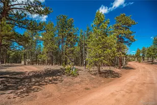 2675 Pikes Peak Dr, Florissant, CO 80816 - Photo 42