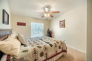 2675 Pikes Peak Dr, Florissant, CO 80816 - Photo 18