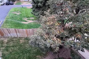 2575 S Syracuse Way, Denver, CO 80231 - Photo 20