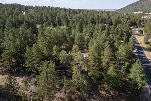 545 Tenderfoot Dr, Larkspur, CO 80118 - Photo 38