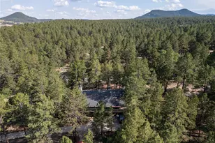 545 Tenderfoot Dr, Larkspur, CO 80118 - Photo 40