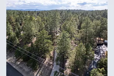545 Tenderfoot Drive, Larkspur, CO 80118 - Photo 36