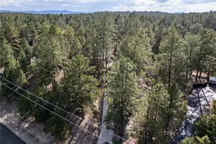 545 Tenderfoot Dr, Larkspur, CO 80118 - Photo 36