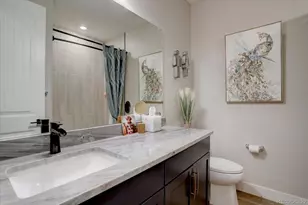 527 Felicity Loop, Castle Rock, CO 80109 - Photo 14