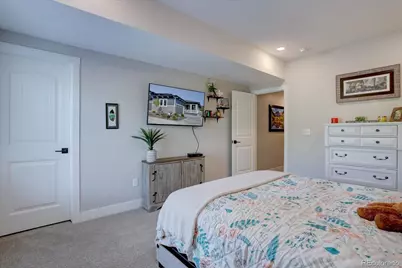 527 Felicity Loop, Castle Rock, CO 80109 - Photo 22