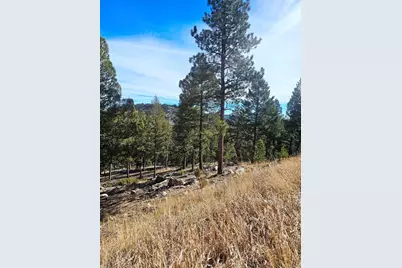 14794 Wetterhorn Peak Trail, Pine, CO 80470 - Photo 8