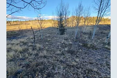 00 Haida Lane, Como, CO 80432 - Photo 4