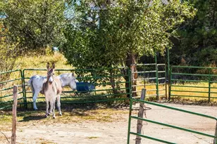 7555 Patrick Trail, Elizabeth, CO 80107 - Photo 6