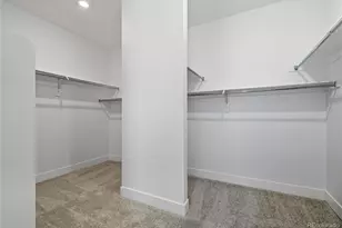 5591 Farrier Pt, Castle Rock, CO 80104 - Photo 24