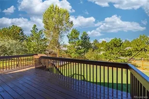 18175 Briarhaven Ct, Monument, CO 80132 - Photo 42