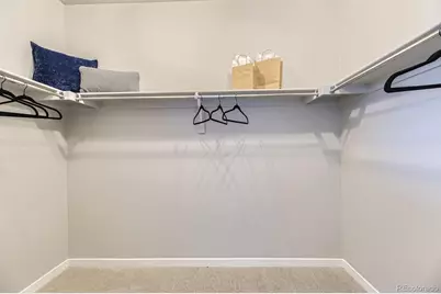 13786 Daffodil Point, Parker, CO 80134 - Photo 20