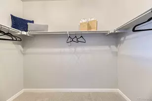 13786 Daffodil Point, Parker, CO 80134 - Photo 20