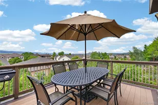 2695 Paw Print Way, Castle Rock, CO 80109 - Photo 46