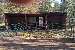 1525 Vigilante Ave, Bailey, CO 80421 - Photo 18