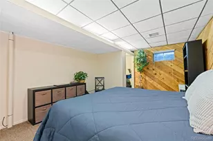 5742 W Chestnut Ave, Littleton, CO 80128 - Photo 42