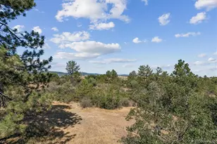 3025 Oakland Dr, Sedalia, CO 80135 - Photo 34
