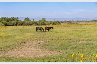 706 Avondale Boulevard, Avondale, CO 81022 - Photo 2