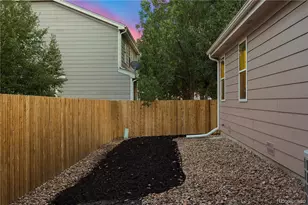 6536 Frank Gardner Way, Parker, CO 80134 - Photo 24