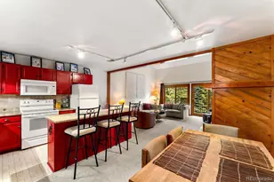 10500 Ryan Gulch Rd, Silverthorne, CO 80498 - Photo 2