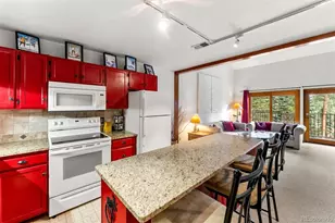 10500 Ryan Gulch Rd, Silverthorne, CO 80498 - Photo 10