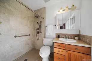 6477 S Hill St, Littleton, CO 80120 - Photo 16