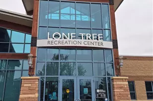 10273 Bellwether Ln, Lone Tree, CO 80124 - Photo 28