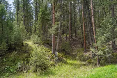 1424 High Drive, Sedalia, CO 80135 - Photo 24