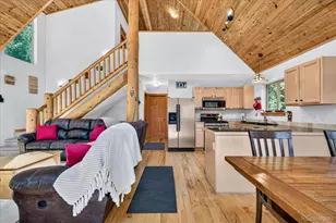 255 Bum Dr, Fairplay, CO 80440 - Photo 4
