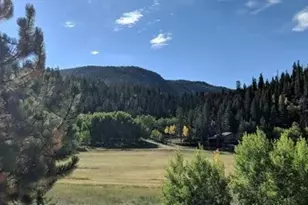 744 Whale Dr, Lake George, CO 80827 - Photo 4