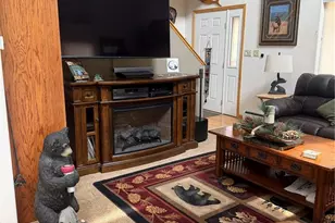 744 Whale Dr, Lake George, CO 80827 - Photo 10