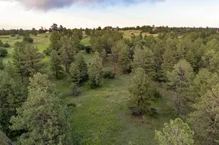 5506 Irish Pat Murphy Dr, Parker, CO 80134 - Photo 42