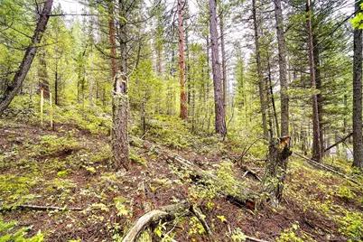 10862-10872 Twin Spruce Road, Golden, CO 80403 - Photo 1