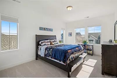 3367 Carabiner Street, Castle Rock, CO 80108 - Photo 32