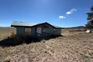 386 Angus Cir, Hartsel, CO 80449 - Photo 24