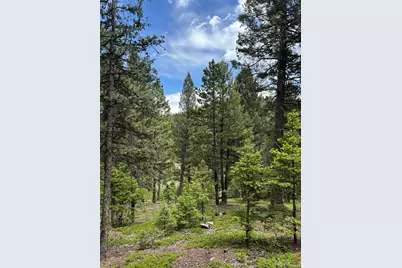 28651 Belle Point Drive, Conifer, CO 80433 - Photo 14