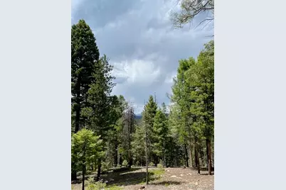 28651 Belle Point Drive, Conifer, CO 80433 - Photo 18