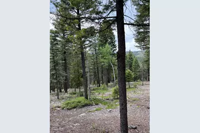 28651 Belle Point Drive, Conifer, CO 80433 - Photo 8