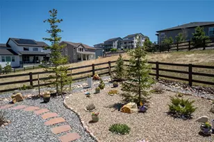 838 Bahia Pt, Castle Rock, CO 80104 - Photo 22