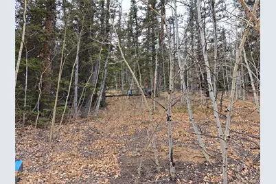 210 Tepee Trail, Como, CO 80432 - Photo 14