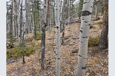 210 Tepee Trail, Como, CO 80432 - Photo 6