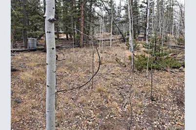 210 Tepee Trail, Como, CO 80432 - Photo 8