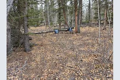 210 Tepee Trail, Como, CO 80432 - Photo 4