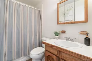 4432 E 118th Pl, Thornton, CO 80233 - Photo 18