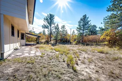 2685 Lost Lake Trail, Franktown, CO 80116 - Photo 38