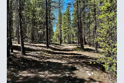 3052 Excelsior, Leadville, CO 80461 - Photo 6