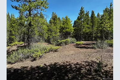 3052 Excelsior, Leadville, CO 80461 - Photo 12